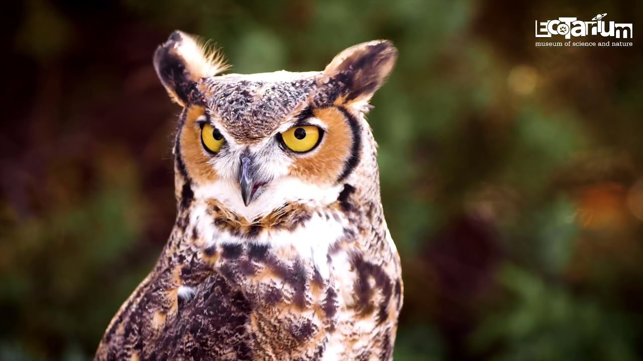 New Naturalist Program for teens at the EcoTarium