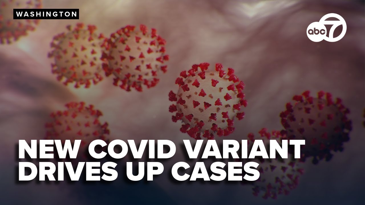 New variant of COVID-19 may be driving up cases, increasing risk of summer surge