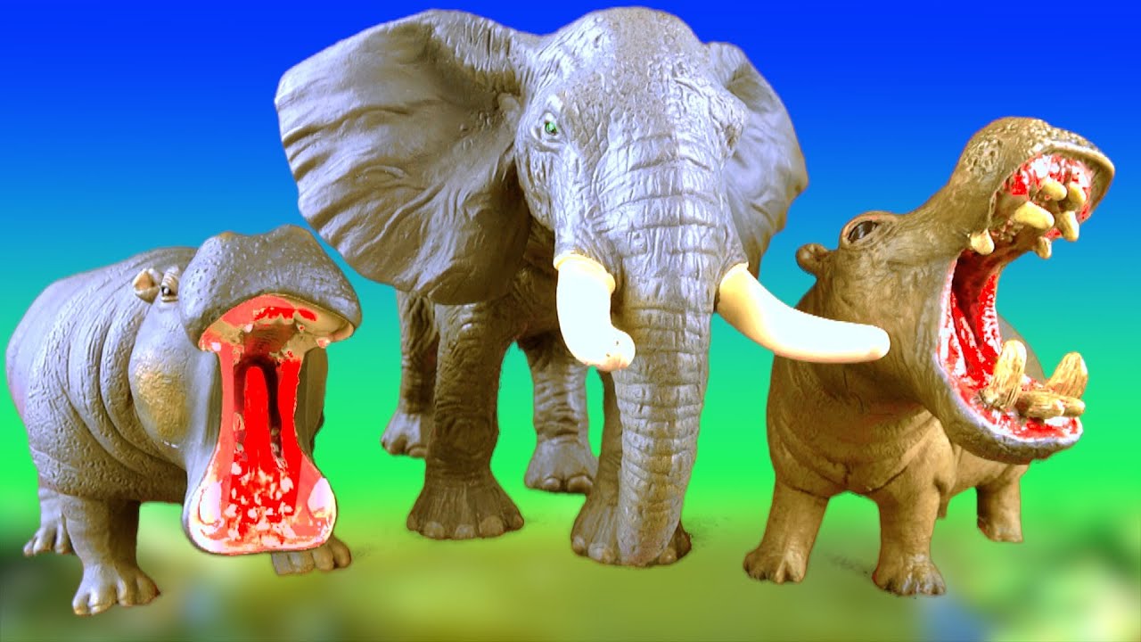 New Wild Animals Battle ELEPHANT vs HIPPOPOTAMUS Fun Fight Kids Toys
