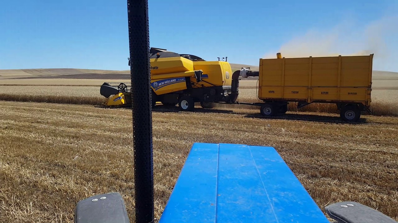 NewHolland 5.80 Biçerdöver ile Buğday Biçmek