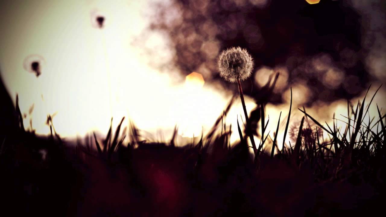 nExow - Autumn Feelings
