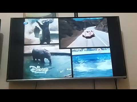 Next The Pink Panther Show Disney Channel Intro