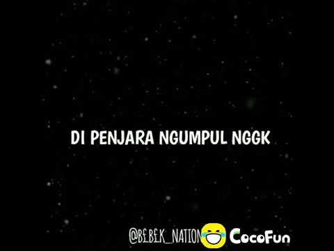 Ngentot(4)