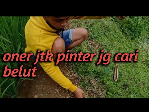 ngintip artis jtk soting #jampangturunankidul