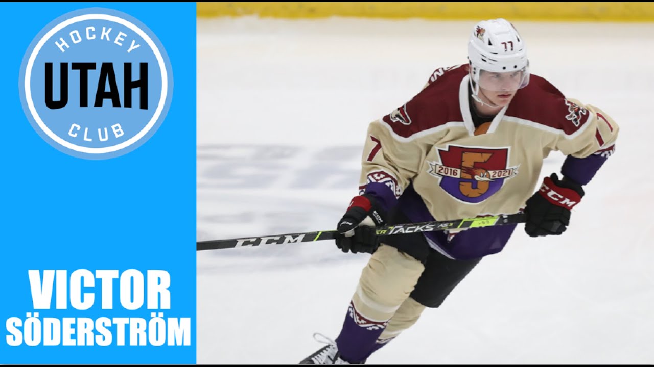 NHL Prospects : Victor Söderström - 23-24 Highlights