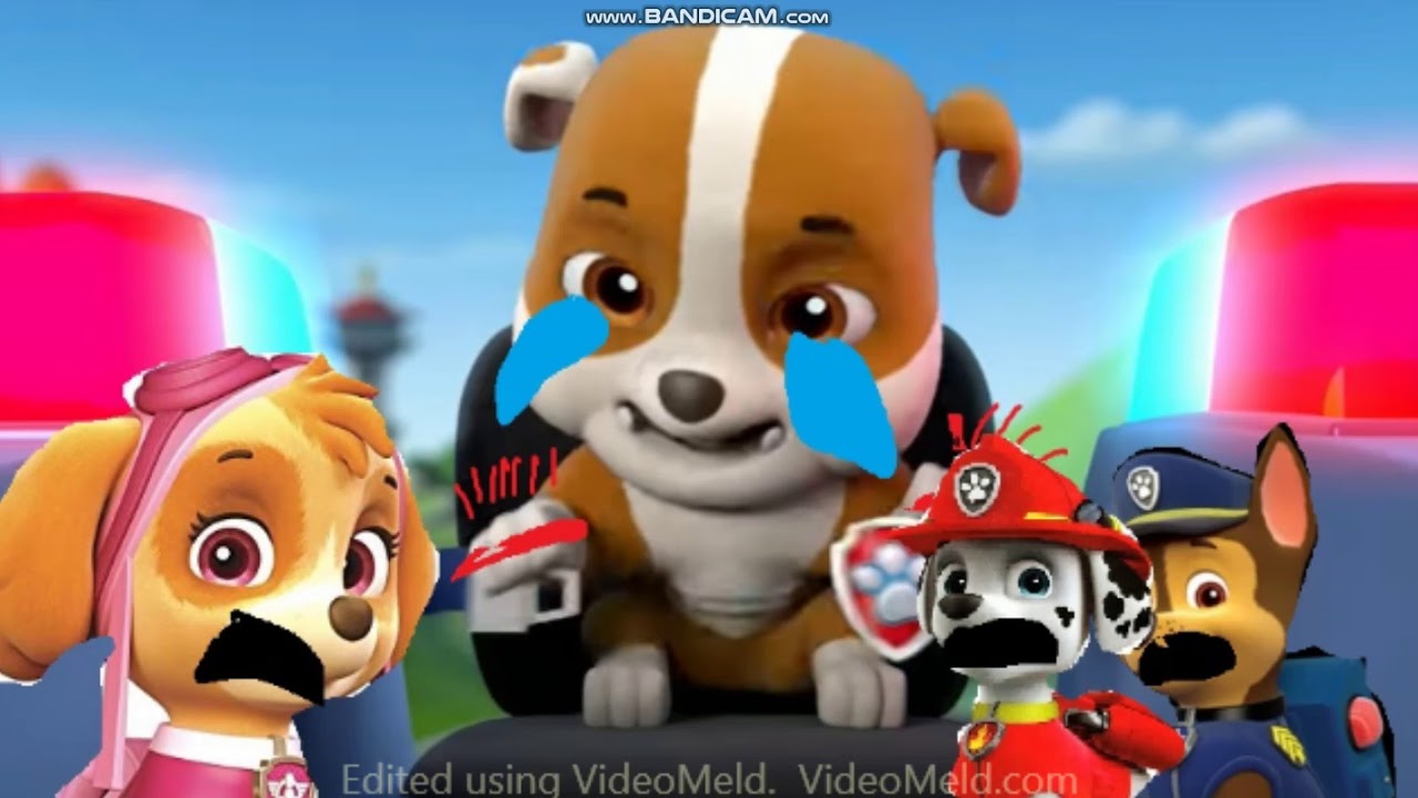 Nick Jr. parody: Molly sets Rubble's seatbelt to 