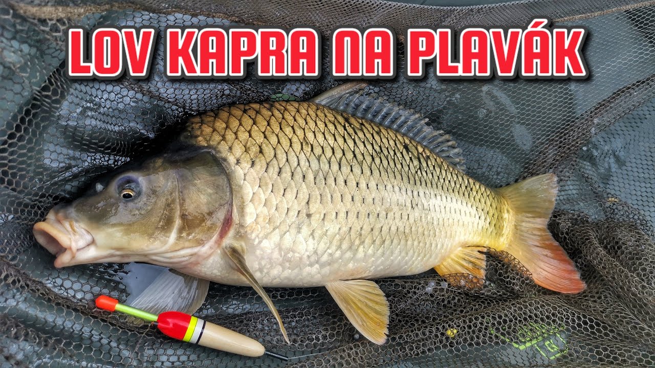 Niekedy to chce zmenu 🎣 super som sa zabavil s kapríkmi 🐟💚😎