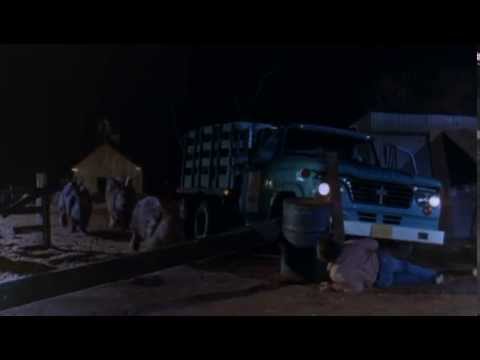 Night of the Lepus   Bunnies Everywhere