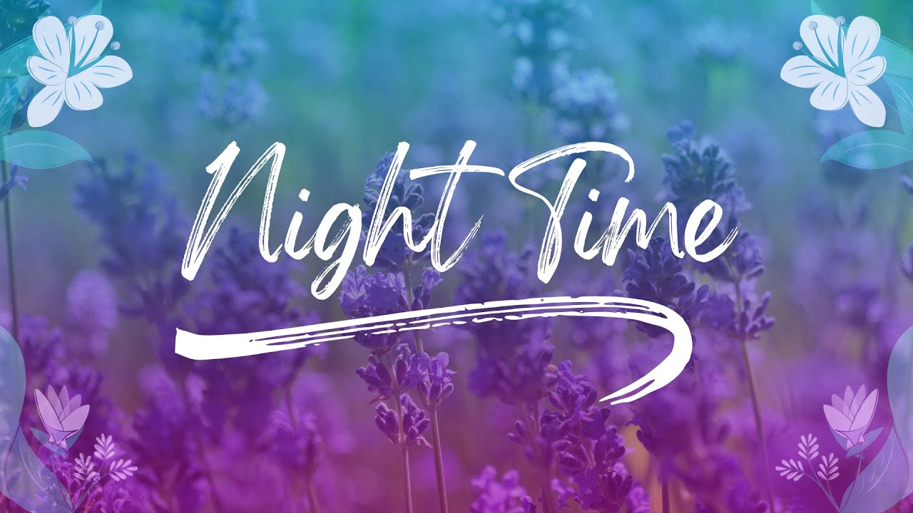 Night Time tea | Pukka Herbs