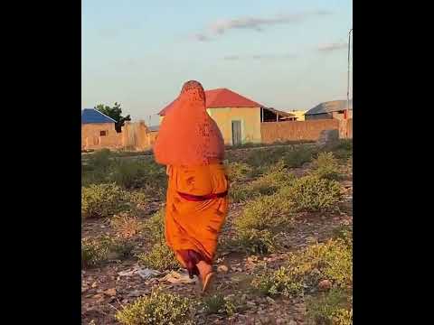 NIIKO SOMALI NIIKO SHIDAN FUTO WEYN