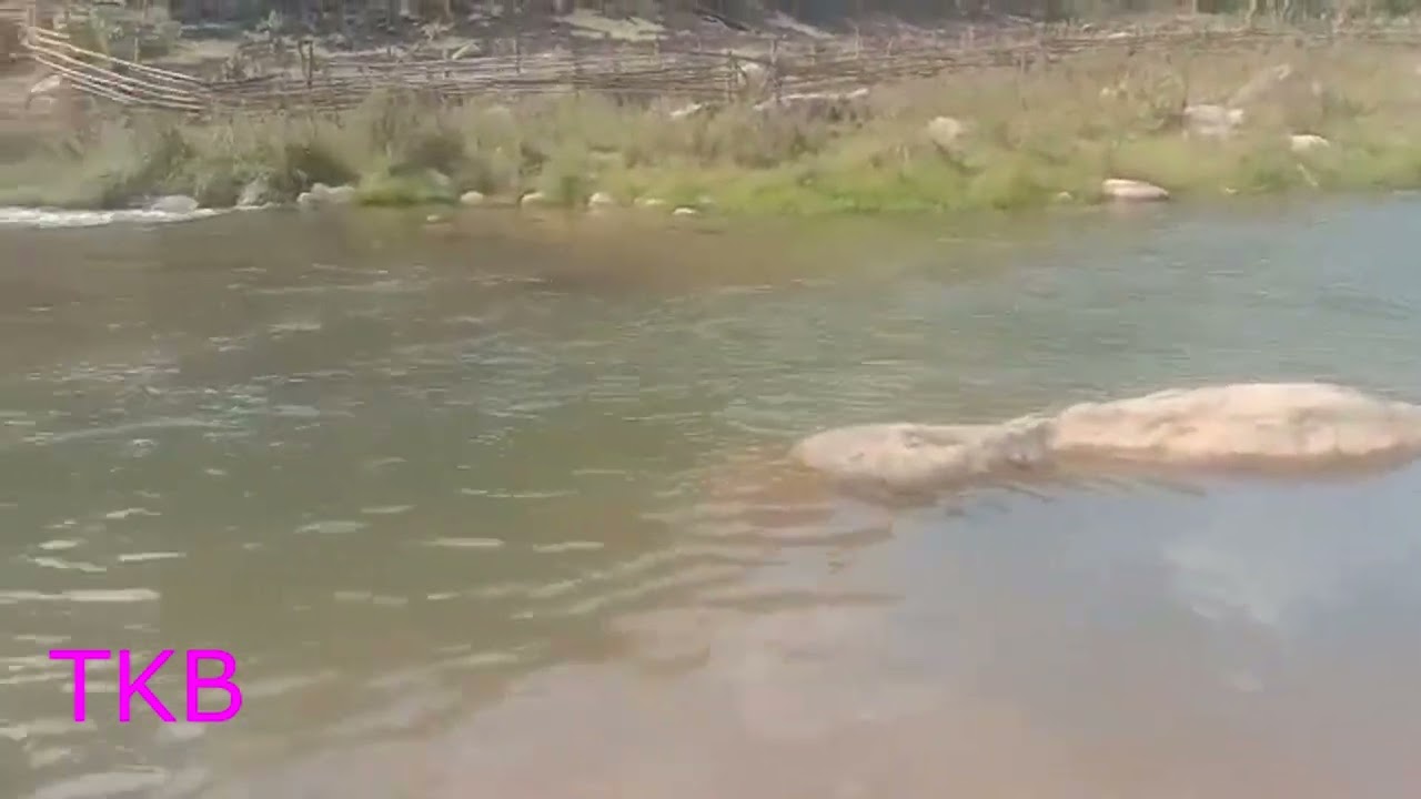 nkauj hmoob da dej 2/6/2022