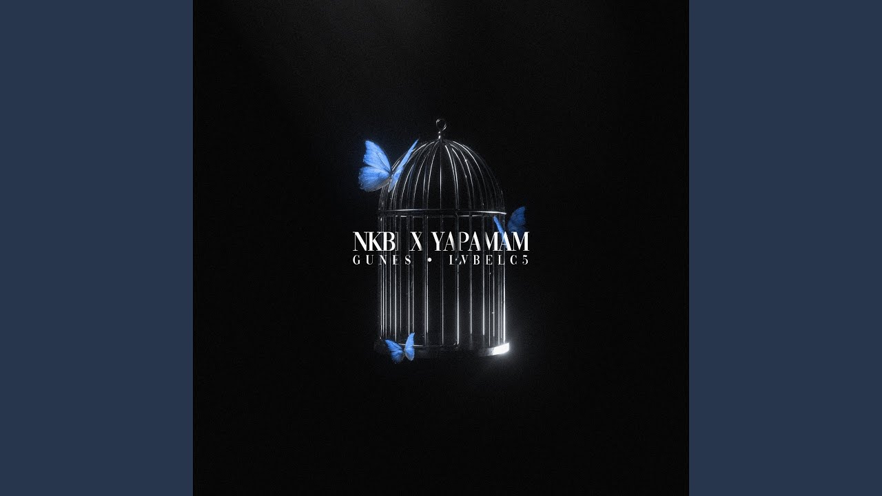 NKBİ X YAPAMAM [Remix]