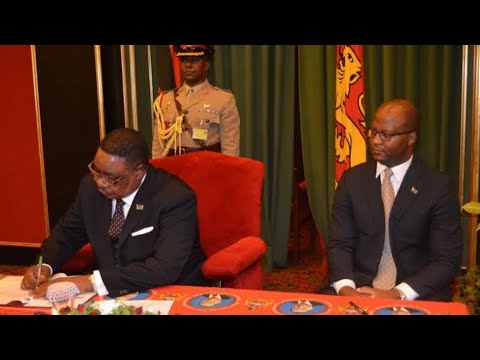 Nkhuyu zodya mwana zapota wamkulu