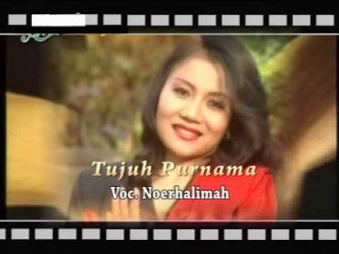 Noerhalimah - Tujuh Purnama | Dangdut (Official Music Video)