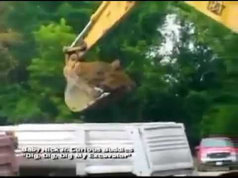NOGGIN’s move to the music: dig dig dig my excavator (Curious Buddies)