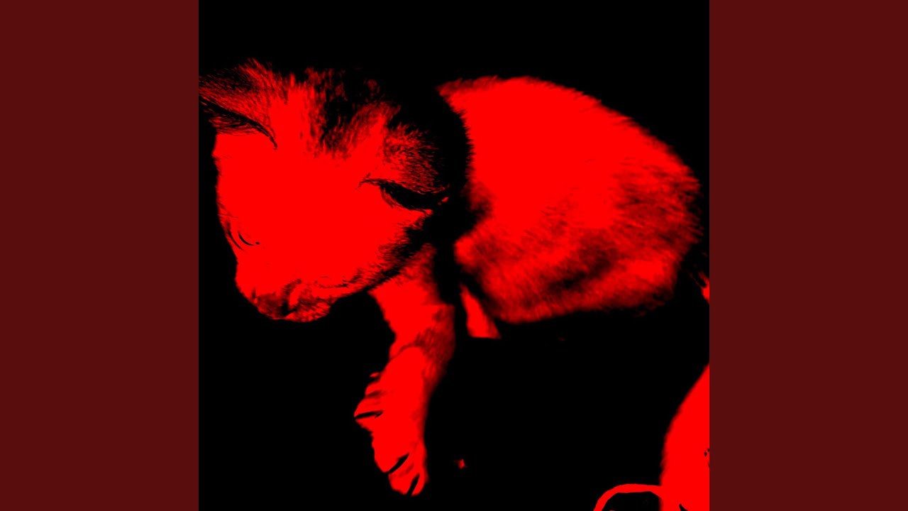 noir (sl0wed down)