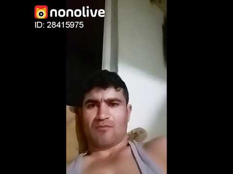 NoNoLive