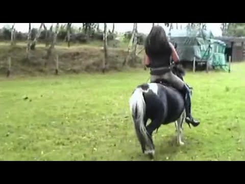 Non-Stop Fast Riding on Pony by Beautiful Girl with Cruelty #hard #pony #horseriding #horselovers