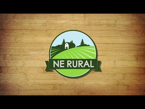 Nordeste Rural: Vinheta de Patrocínio (Dezembro/2020)
