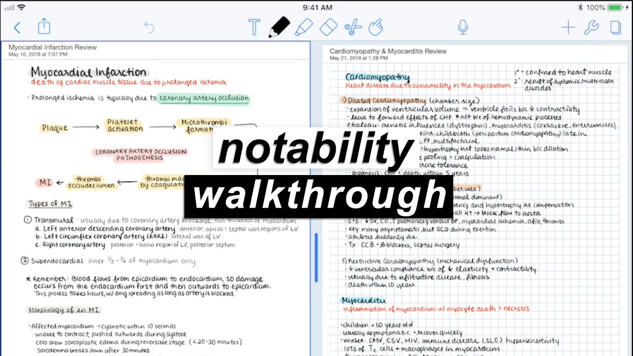 Notability on the iPad  | Walkthrough & Review ✏️