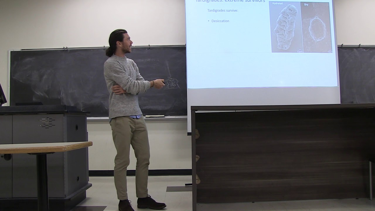 NSM Colloquium - Thomas Boothby