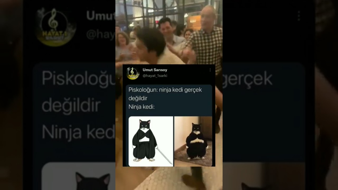 İnstagram - Twitter video #183 #tiktok #twitter #akımı