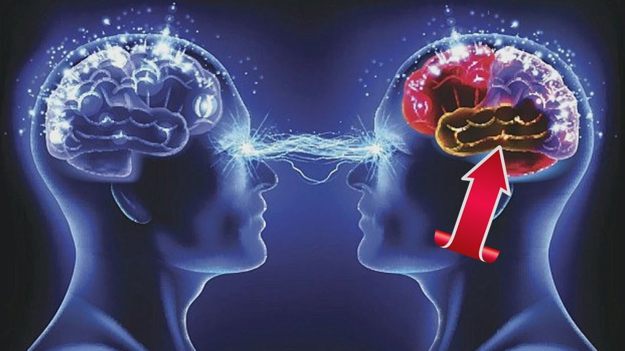 İnteresting facts about human brain