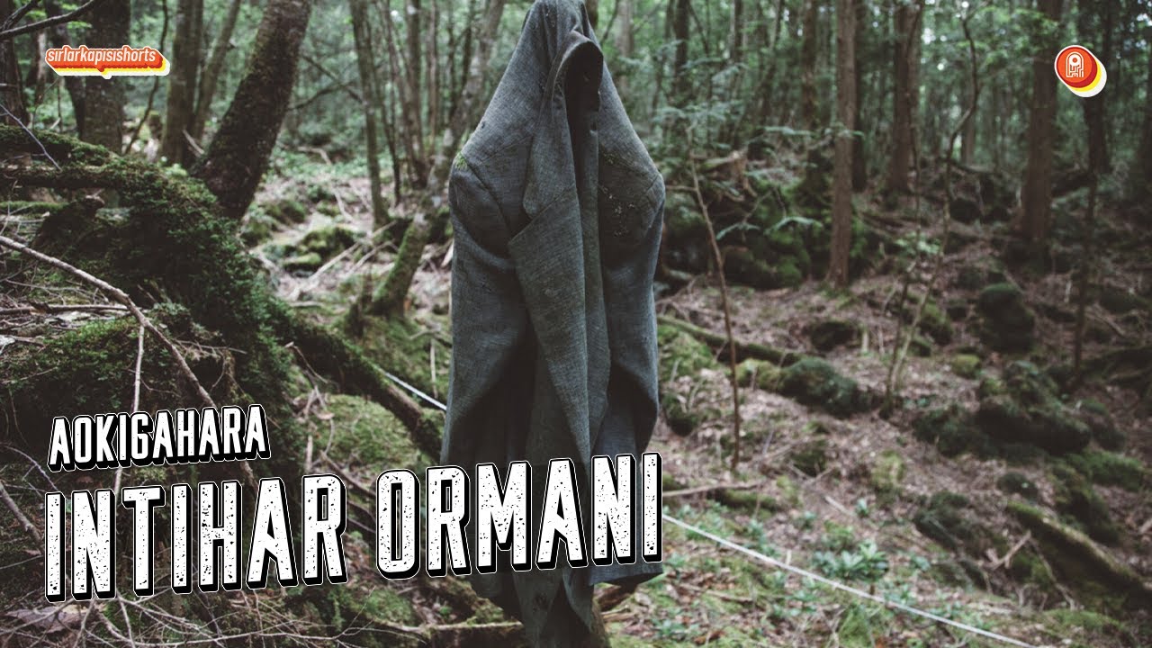 İntihar Ormanı: Aokigahara 🌲