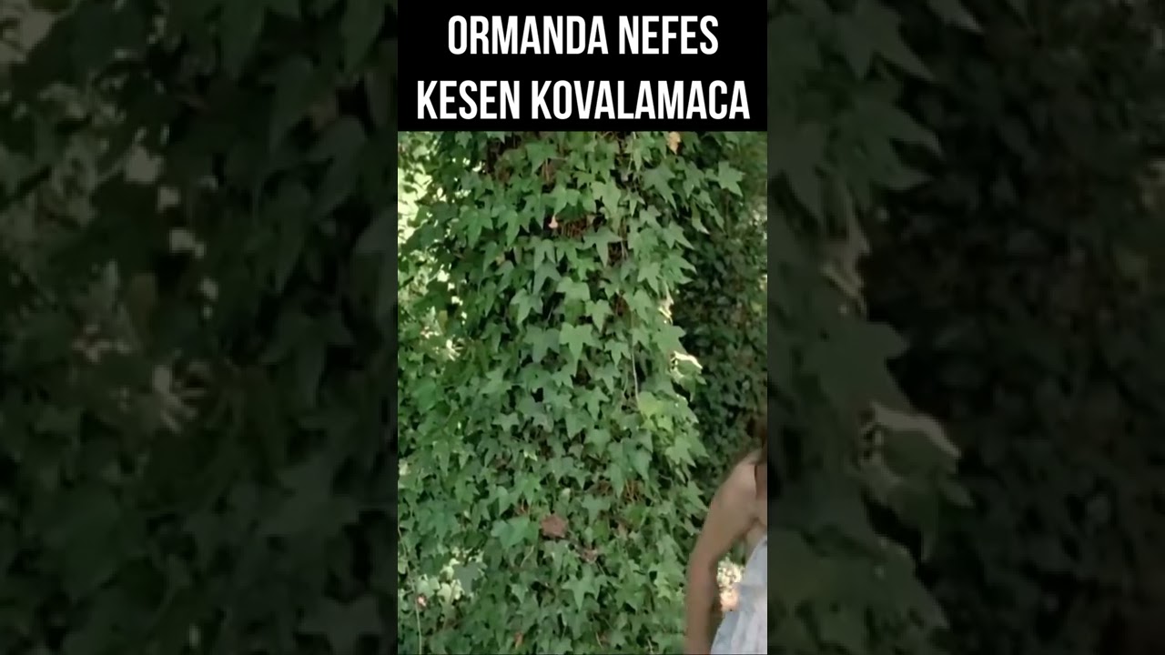 Nurgül Yeşilçay'ın Orman Kaçamağı | Şellale #shorts