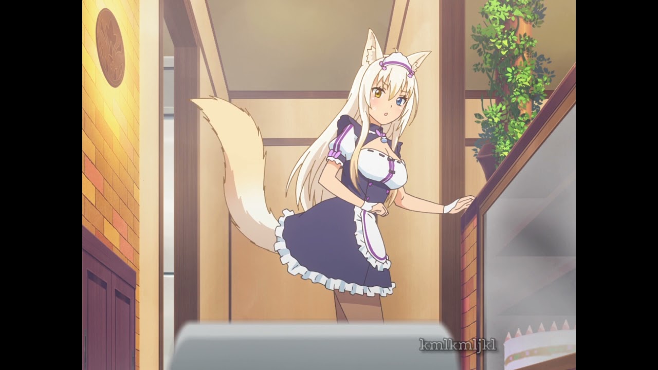 nyaa