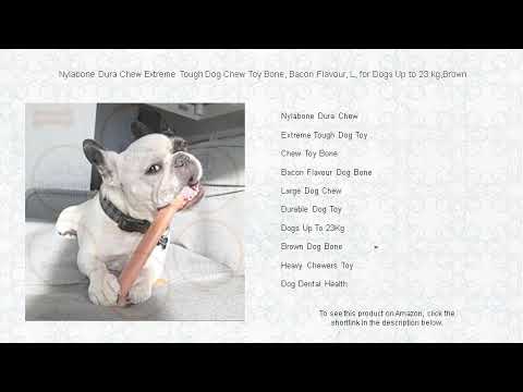 Nylabone Dura Chew Extreme Tough Dog Chew Toy Bone, Bacon Flavour, L, for Dogs Up to 23 kg,Brown