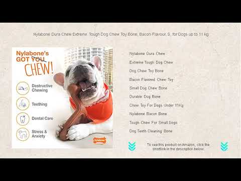 Nylabone Dura Chew Extreme Tough Dog Chew Toy Bone, Bacon Flavour, S, for Dogs up to 11 kg