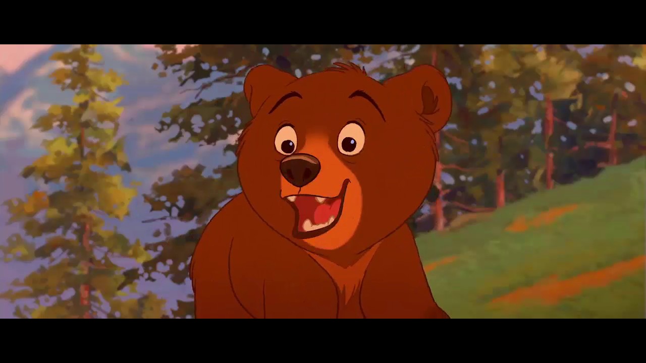 O pé na Estrada eu Vou Botar- Irmão Urso