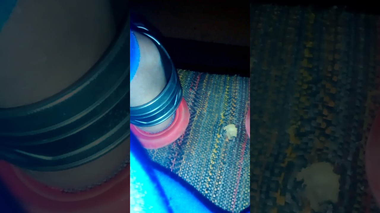 O Taynara que namora comigo