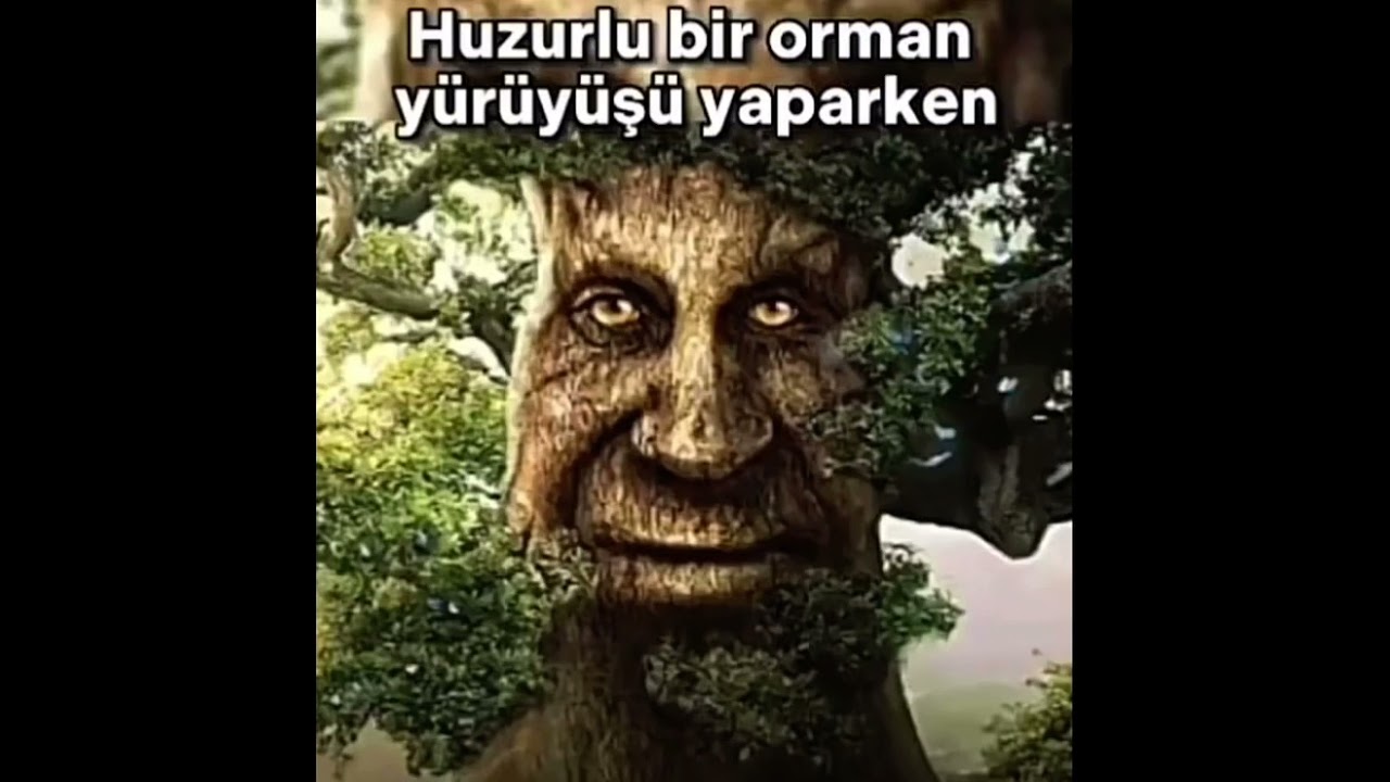O TUTTUGUN DAL DAL DEGİL KARDESS