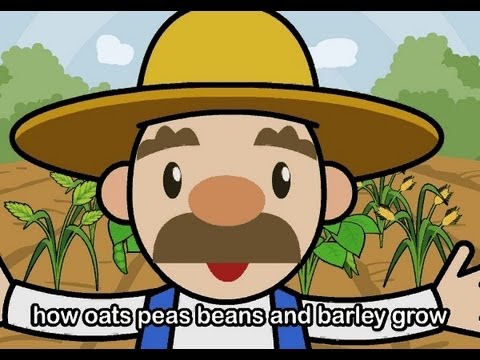 Oats Peas Beans and Barley Grow  | Family Sing Along - Muffin Songs