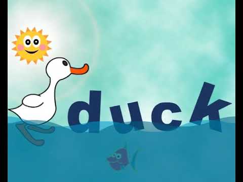Ocean - ducktv Trailer | ducktv