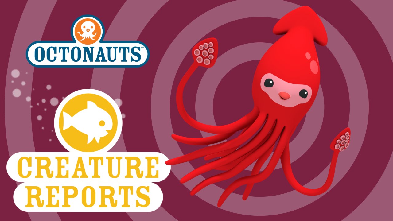 Octonauts: Creature Report - Giant Squid
