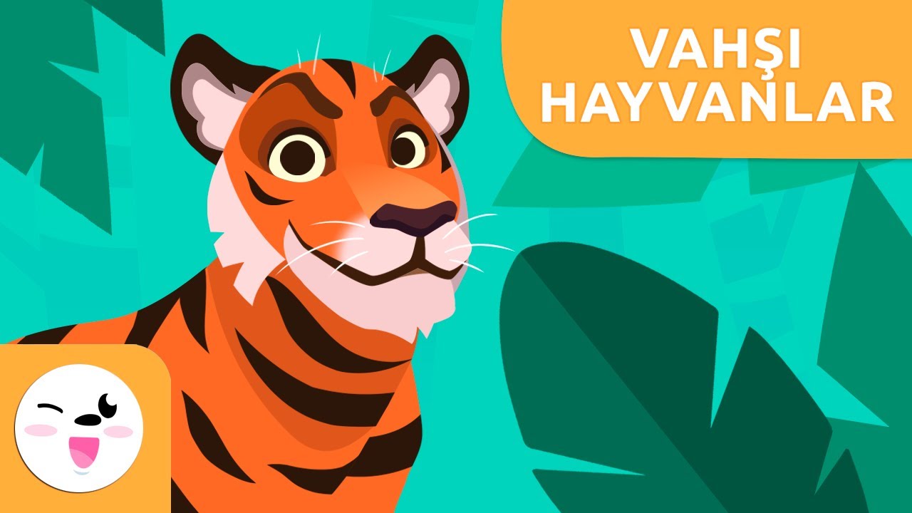 Çocuklar için vahşi hayvanlar - Çocukların kelime hazneleri için