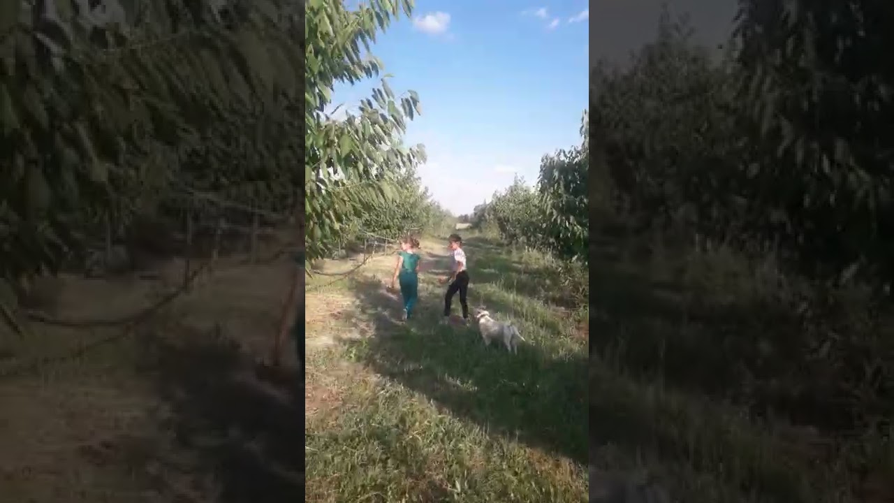 çocuklarla dost