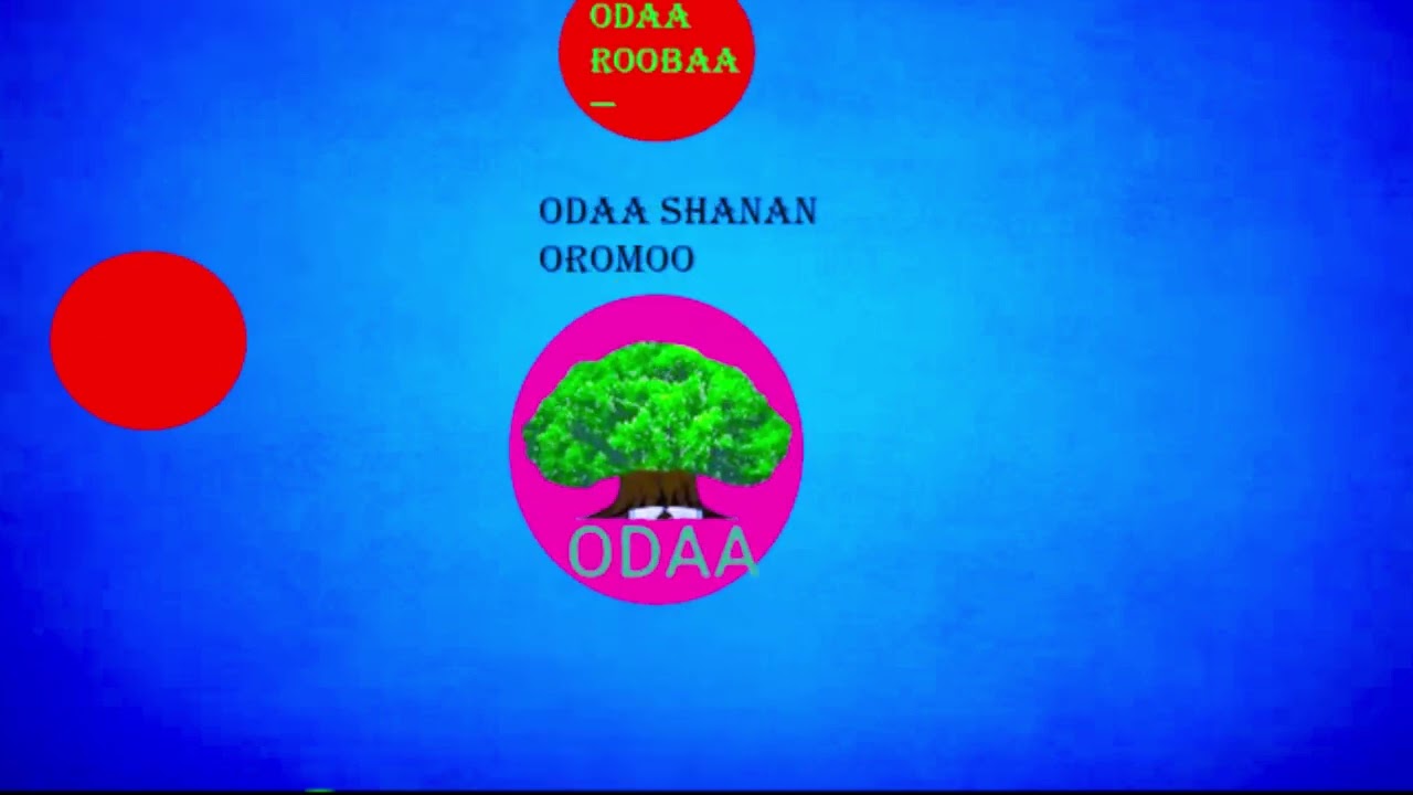 Odaa shanan oromoo!