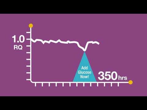 Off-Gas Monitoring in Fermentations with Prima Mass Spectrometers