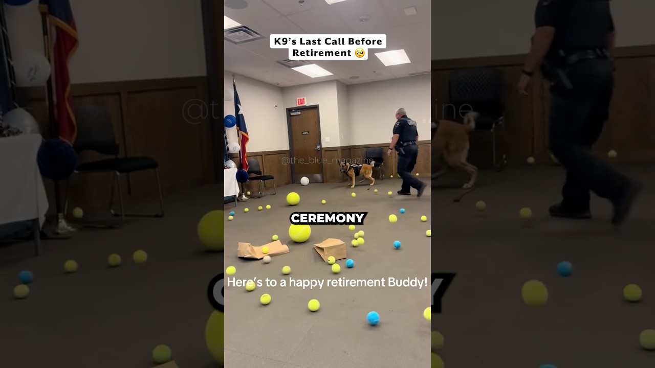 Officers' Big Surprise for K9 🎉 #shorts