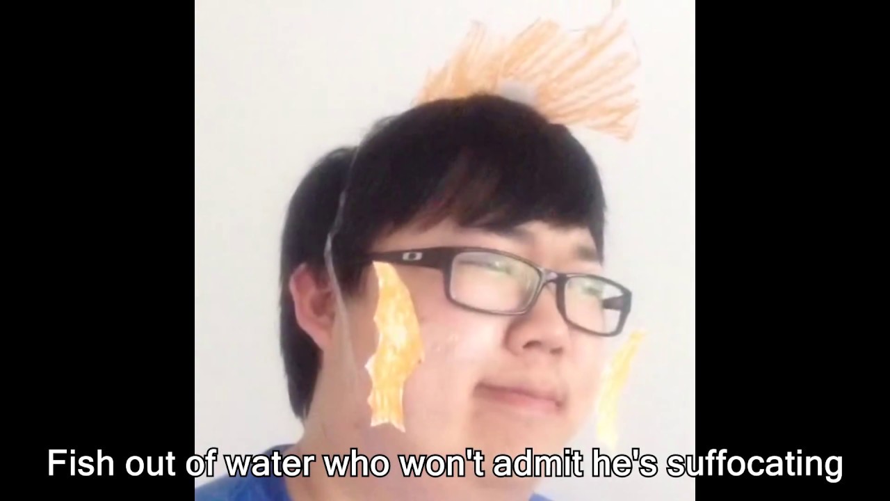 OFFICIAL PROZD VINE COMPILATION: Nov 2014-Oct 2015 (Year 1)