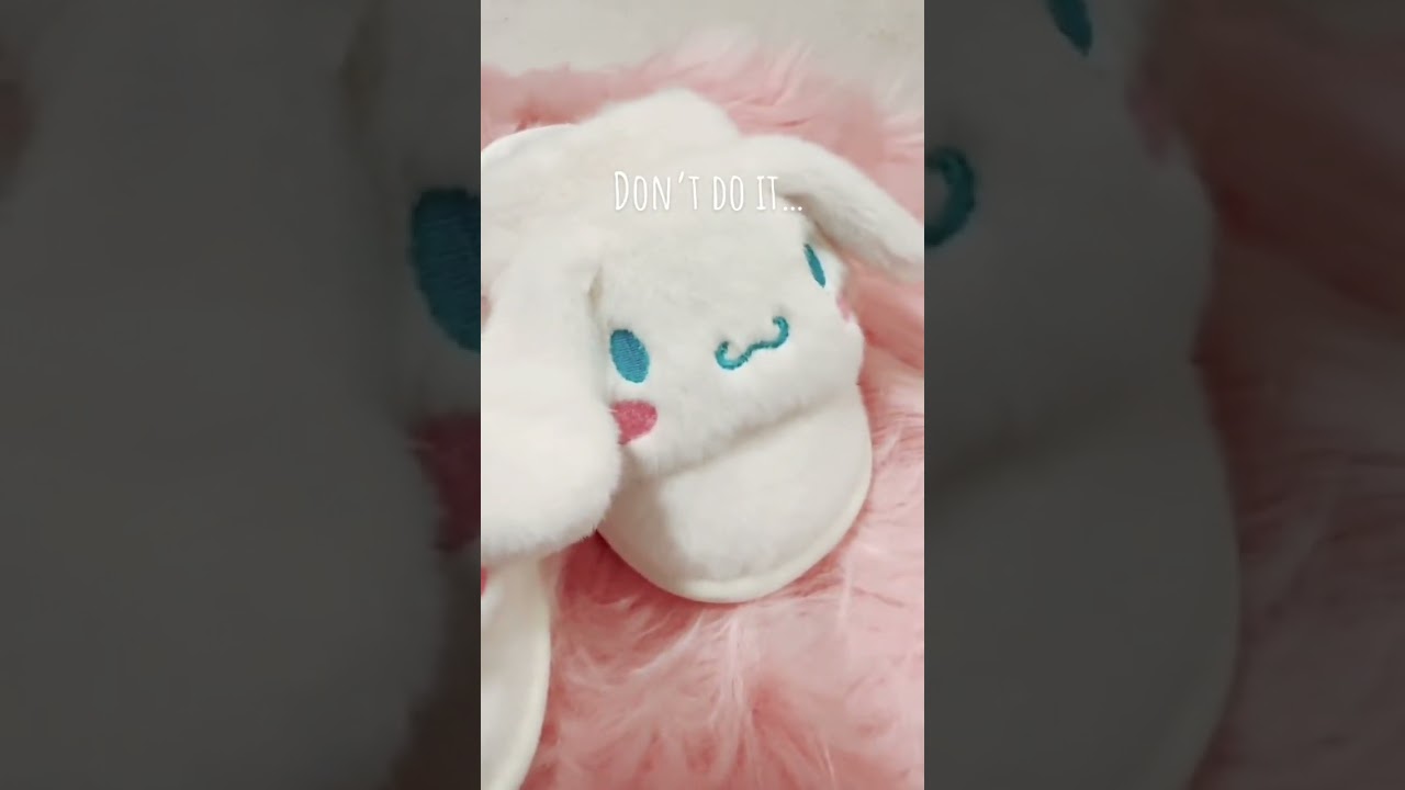 Officially the cutest pair of Sanrio slippers on the internet 🏆