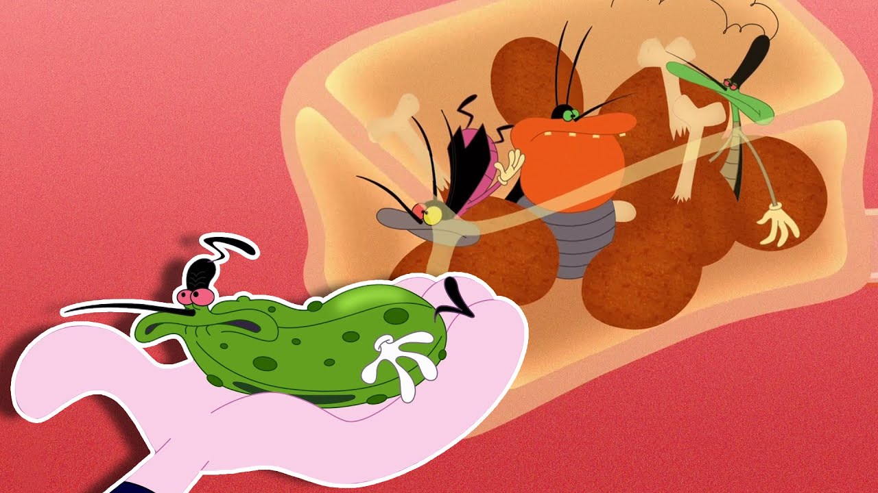 Oggy and the Cockroaches 🤮 COCKROACH FOOD - Full Episodes HD