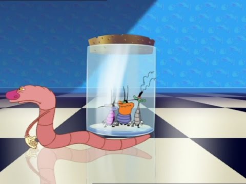 Oggy and the Cockroaches - The bait bites back  (S1E36) Full Episode in HD