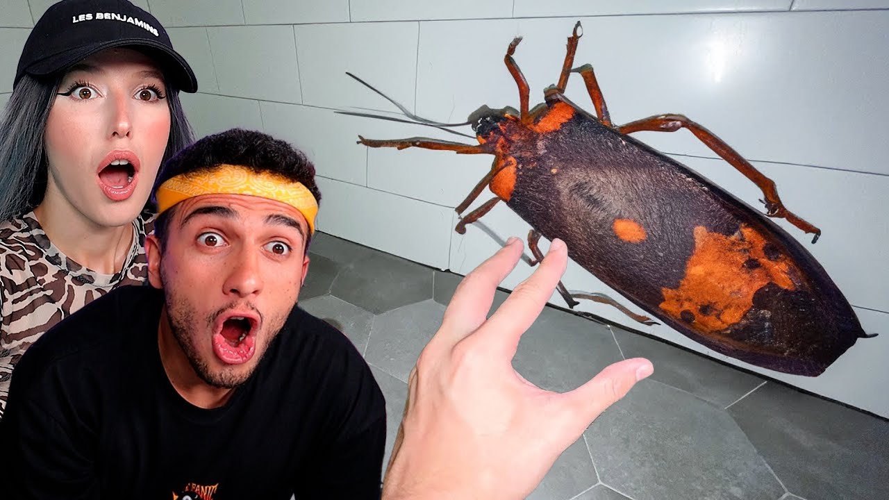 OHA DERSEN KAYBEDERSİN CHALLENGE ! (ÇOK ZOR) @MertGultass