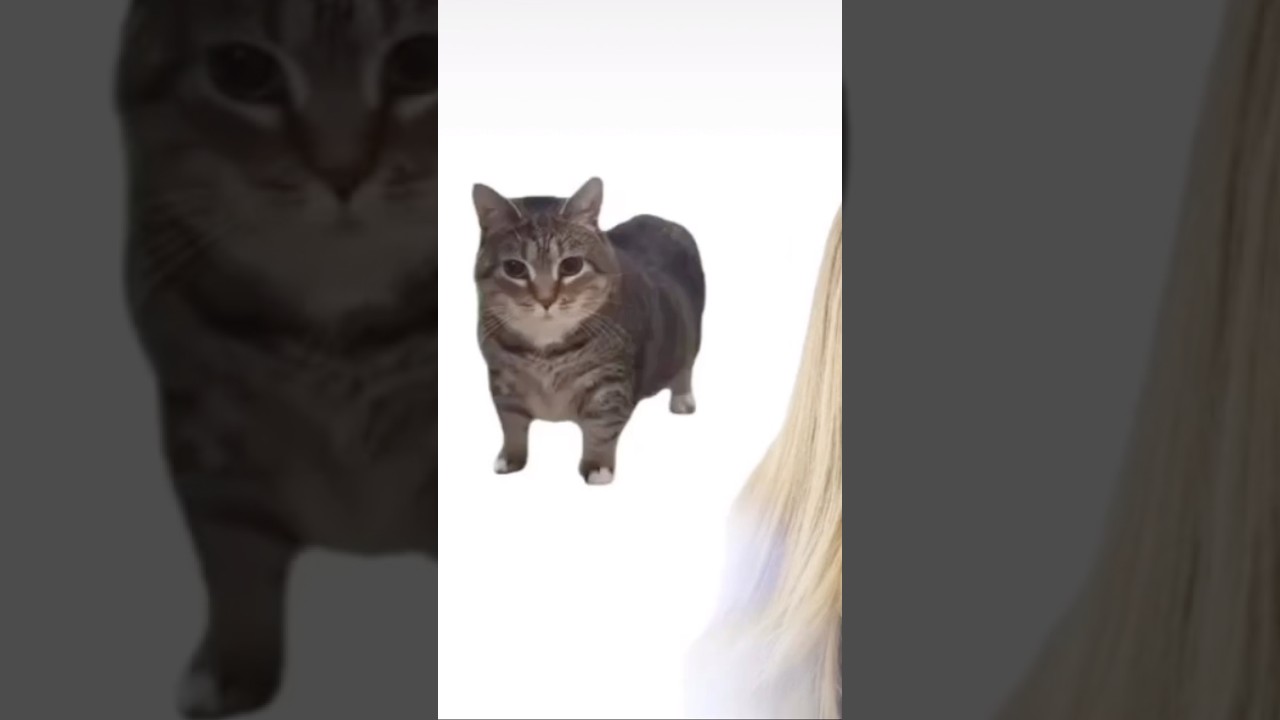 Oiaaaaaaa
