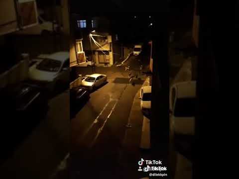 OLAY VAR BEYLER BAYANLAR GELIN